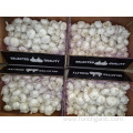 Fresh Pure White Garlic Crop 2019